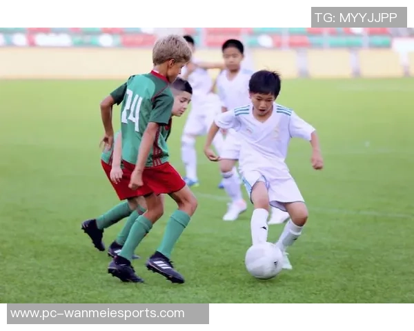 足球牢笼中的梦想与挣扎:探讨运动员的心灵与自由的边界 足球牢笼中的梦想与挣扎:探讨运动员的心灵与自由的边界